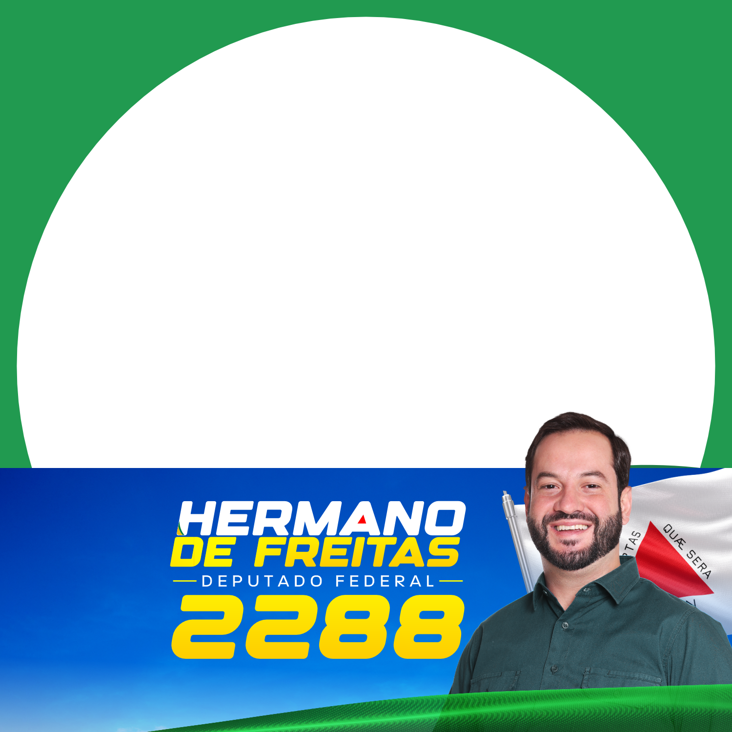 Prévia da postagem para redes sociais